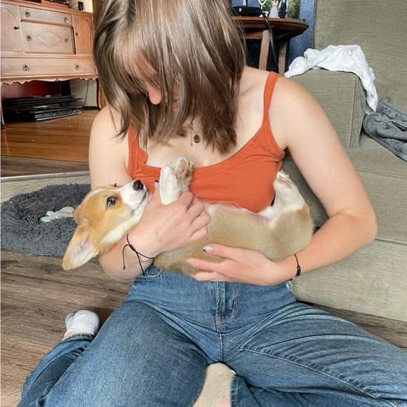 Meet your Posher, Brooke - Picture 2 of 4